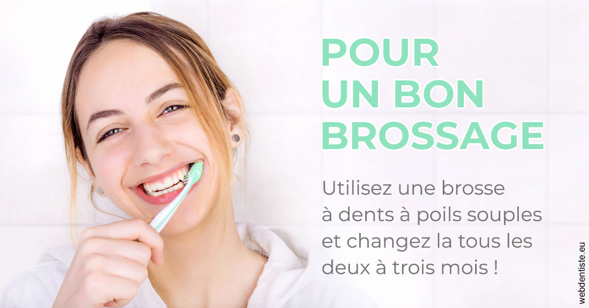 https://selarl-drsboutin.chirurgiens-dentistes.fr/Pour un bon brossage 2