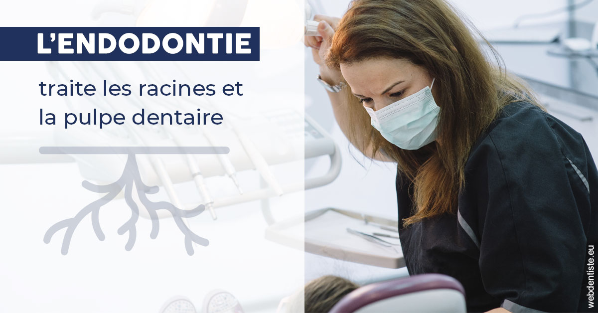 https://selarl-drsboutin.chirurgiens-dentistes.fr/L'endodontie 1