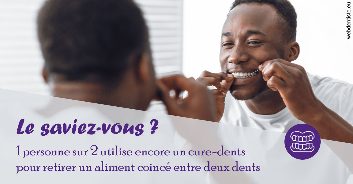 https://selarl-drsboutin.chirurgiens-dentistes.fr/Cure-dents 2