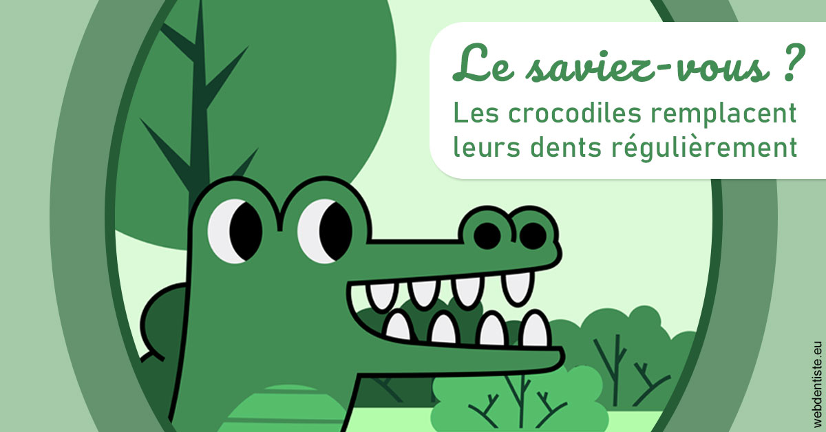 https://selarl-drsboutin.chirurgiens-dentistes.fr/Crocodiles 2
