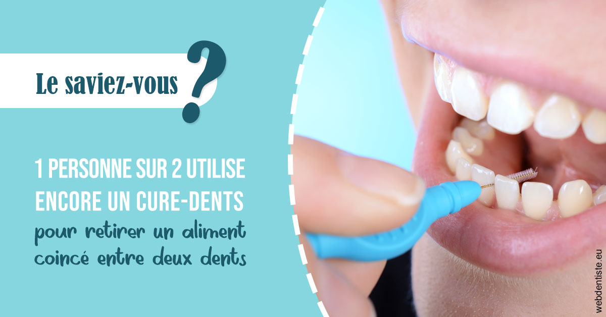 https://selarl-drsboutin.chirurgiens-dentistes.fr/Cure-dents 1