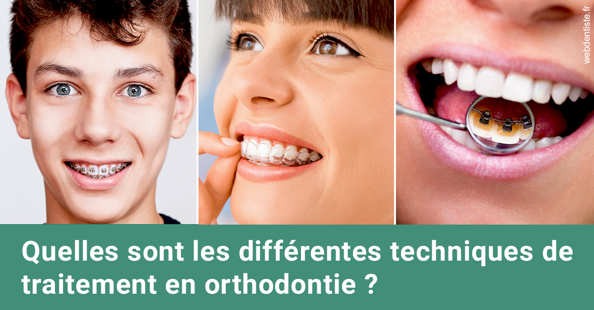 https://selarl-drsboutin.chirurgiens-dentistes.fr/Les différentes techniques de traitement 2